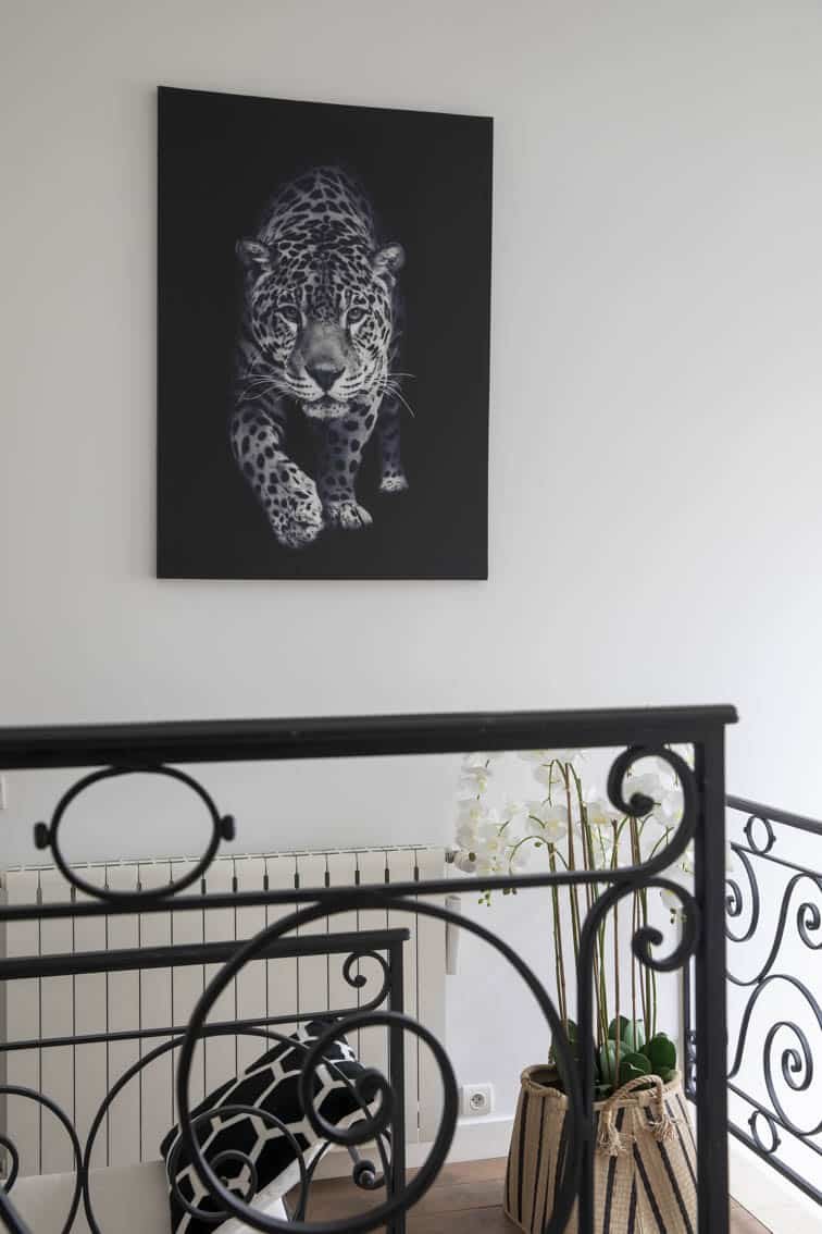 Un léopard sur fond noir et fer forgé, by Christiansen Design, Architecte d'intérieur Yvelines et Décorateur à Paris, Hauts de Seine, Provence
